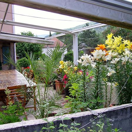 Saillans  La Maison Rose מראה חיצוני תמונה